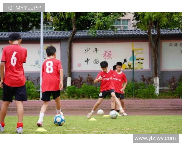 小牛足球:培养未来足球明星的摇篮与梦想的起点 小牛足球:培养未来足球明星的摇篮与梦想的起点