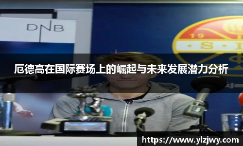 星空官网