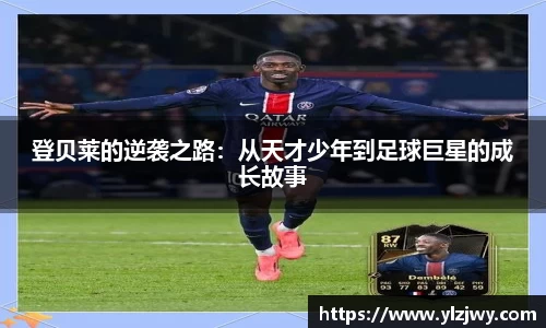 星空体育平台app